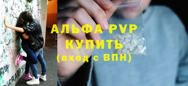 стаф Абинск