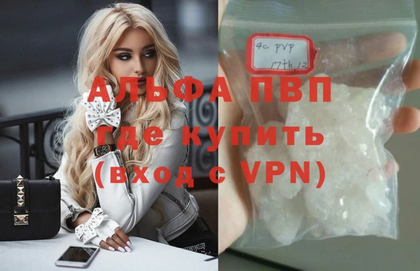 стаф Абинск