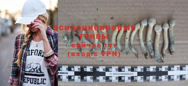 дурь Алзамай