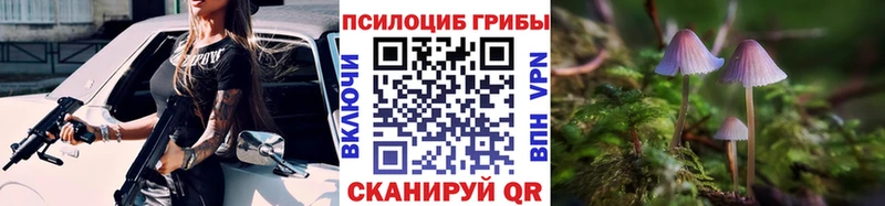 Галлюциногенные грибы ЛСД  KRAKEN рабочий сайт  Новоалтайск  купить  