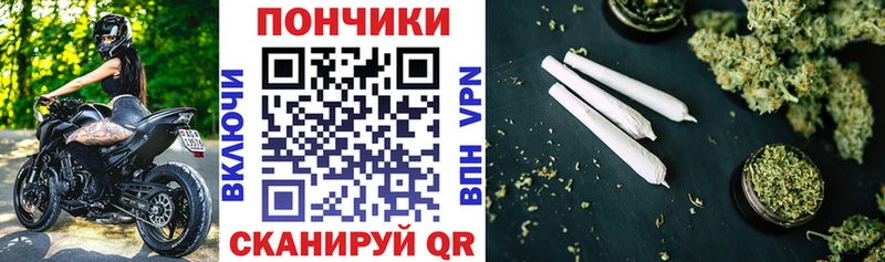 Каннабис конопля Новоалтайск