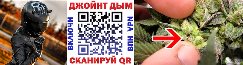 МЕГА зеркало  Новоалтайск  Марихуана сатива 